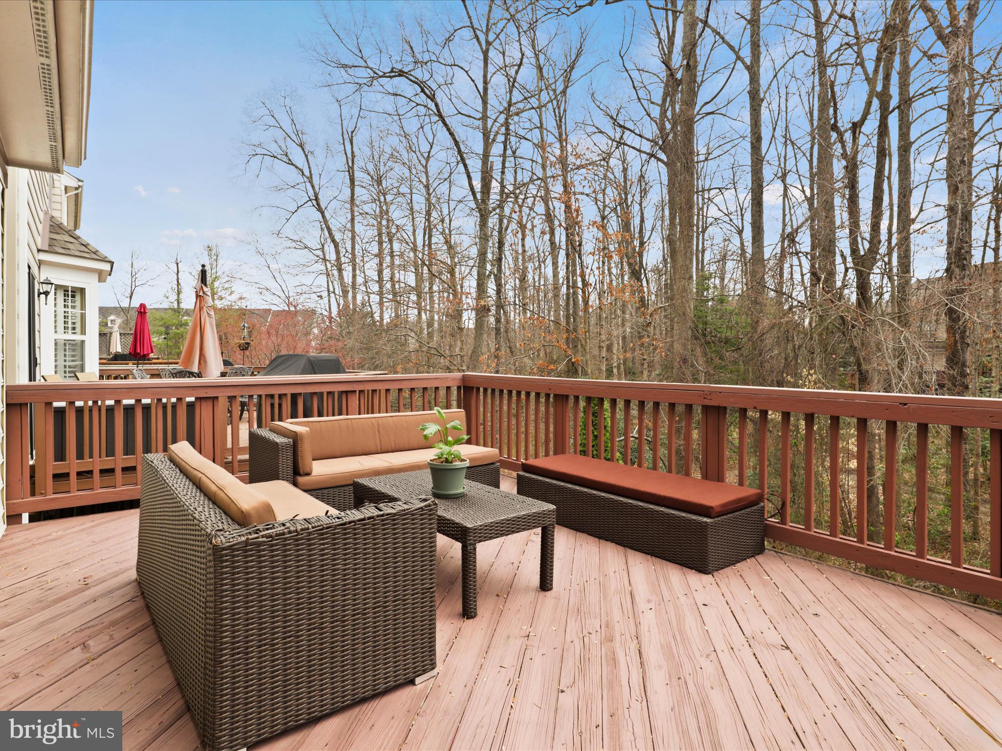 WINDSOR MEWS - Residential