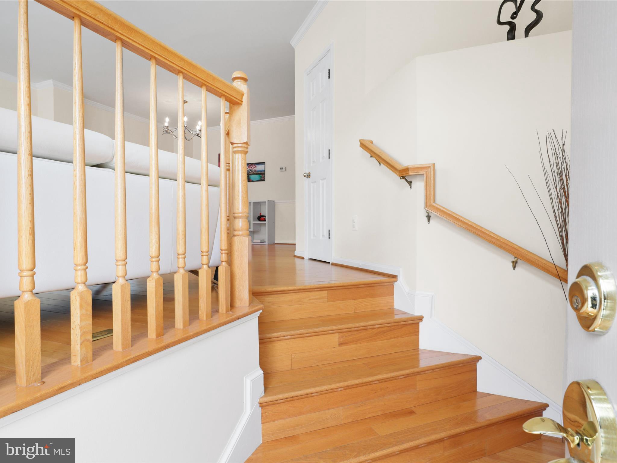 WINDSOR MEWS - Residential