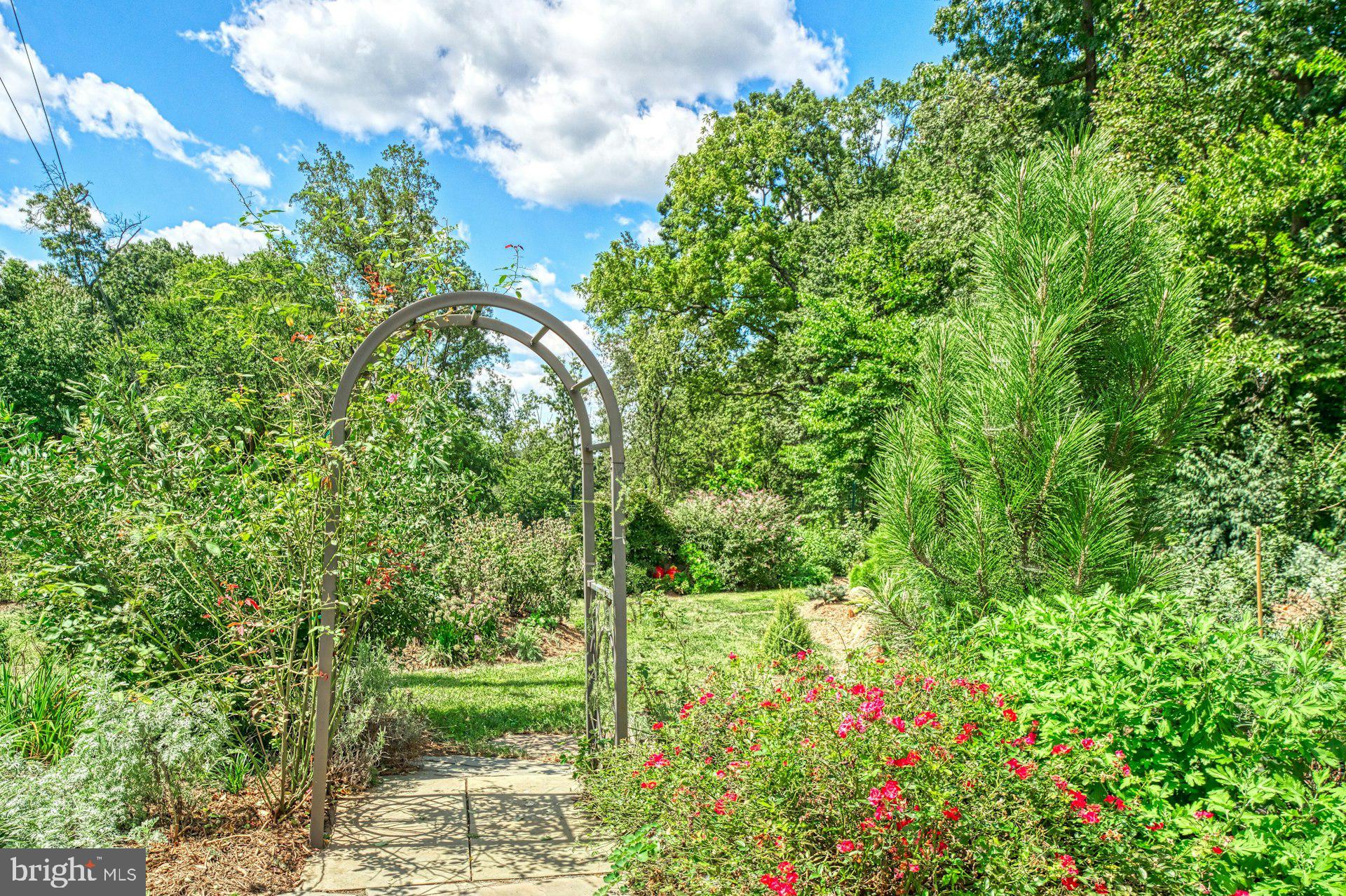 BEACON HILL - Residential