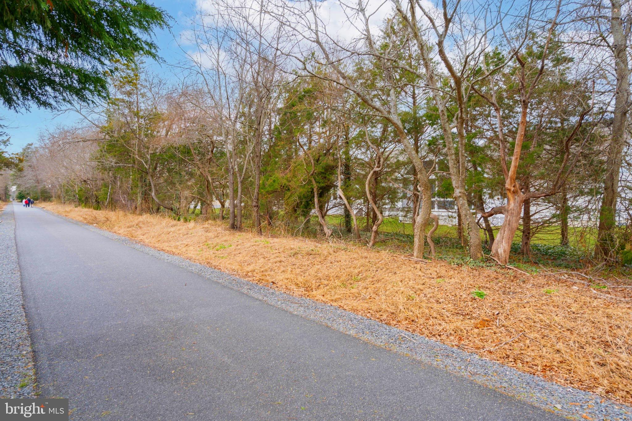 31716 GRENACHE COURT 60