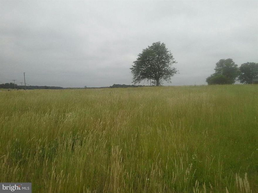 11.65 mostly cleared acres backing to Brown's Run Stream.  Two driveways, one is shared one is private. Build your dream home on this lovely property with convenient access on 17 . Perked for a 4 bedroom home.