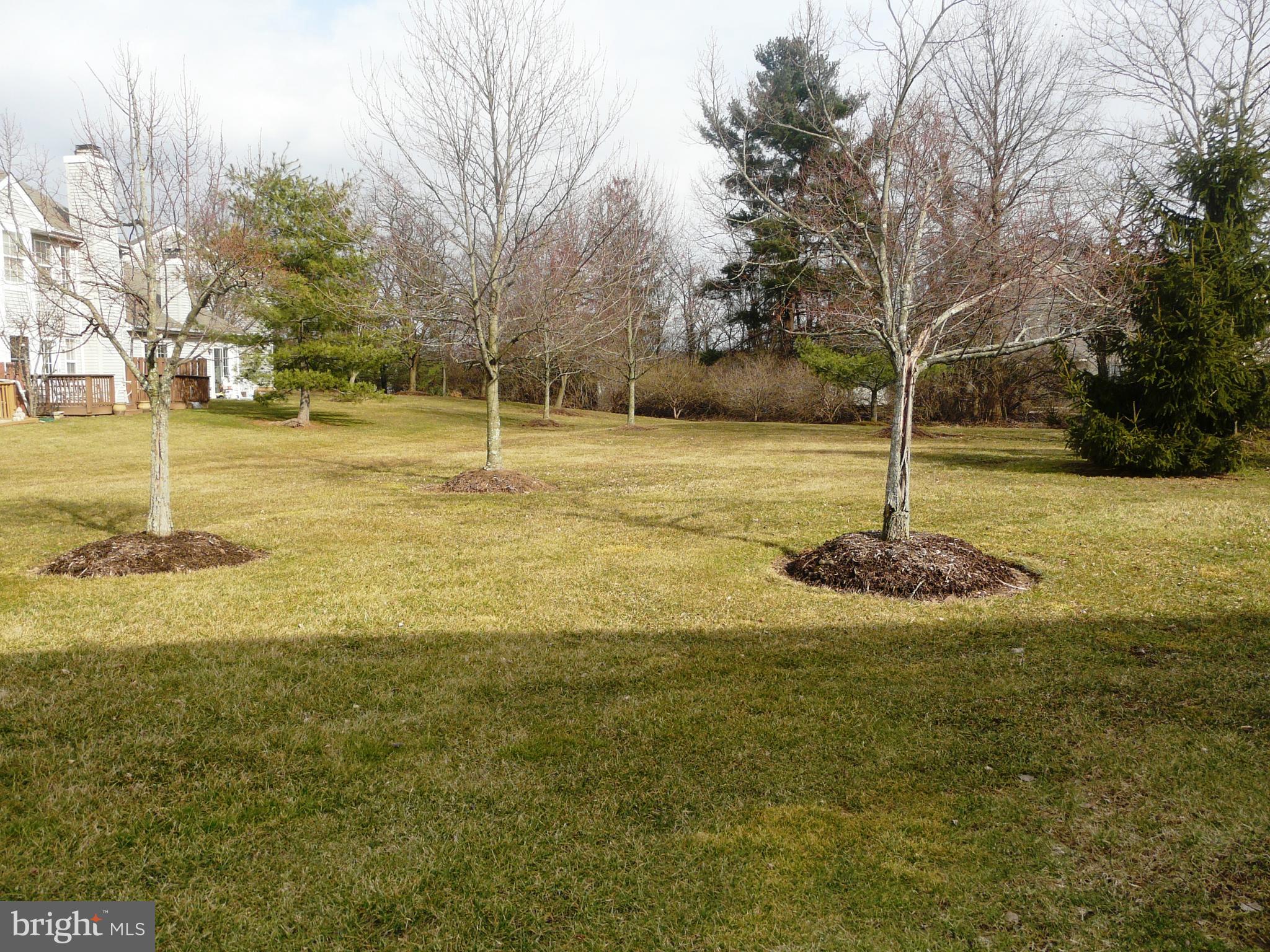 GWYNEDD POINTE - Residential