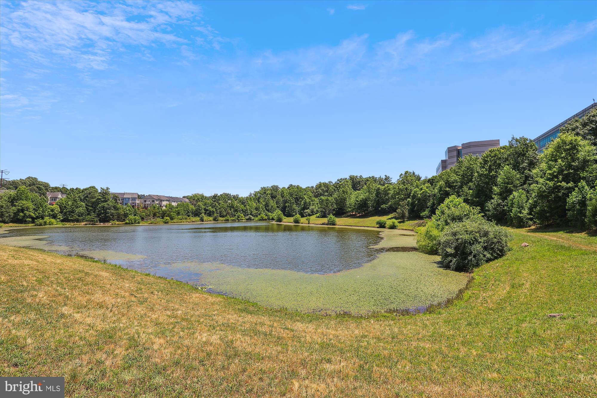 WILLOW OAKS AT FAIR LAKES - Residential