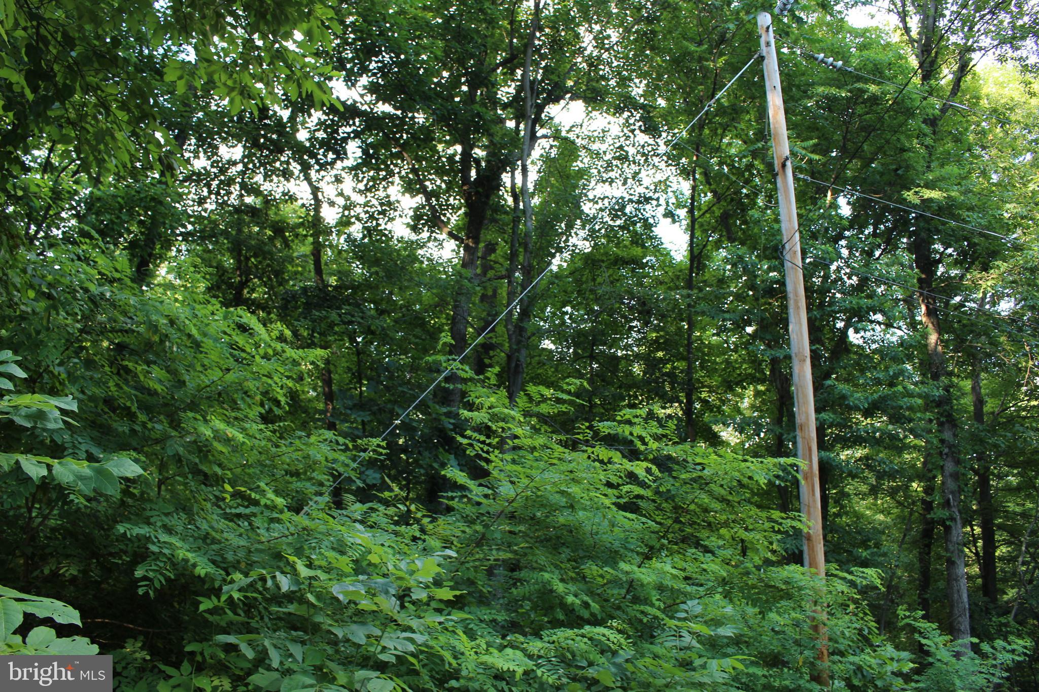 HAPPY VALLEY RETREAT - Land