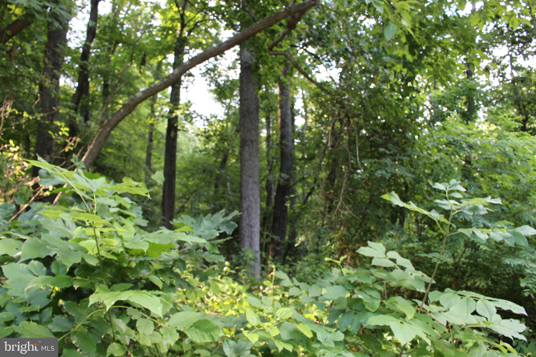HAPPY VALLEY RETREAT - Land