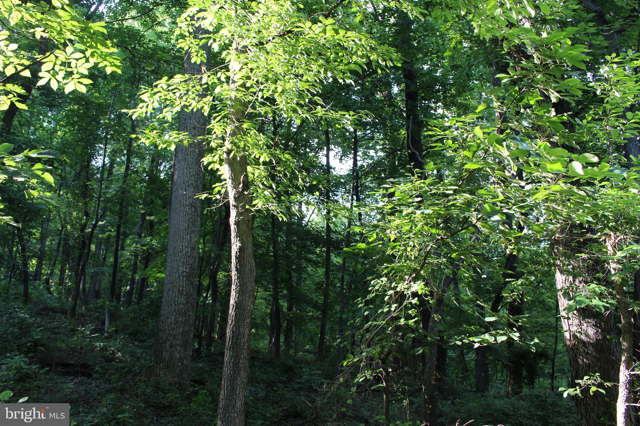 HAPPY VALLEY RETREAT - Land