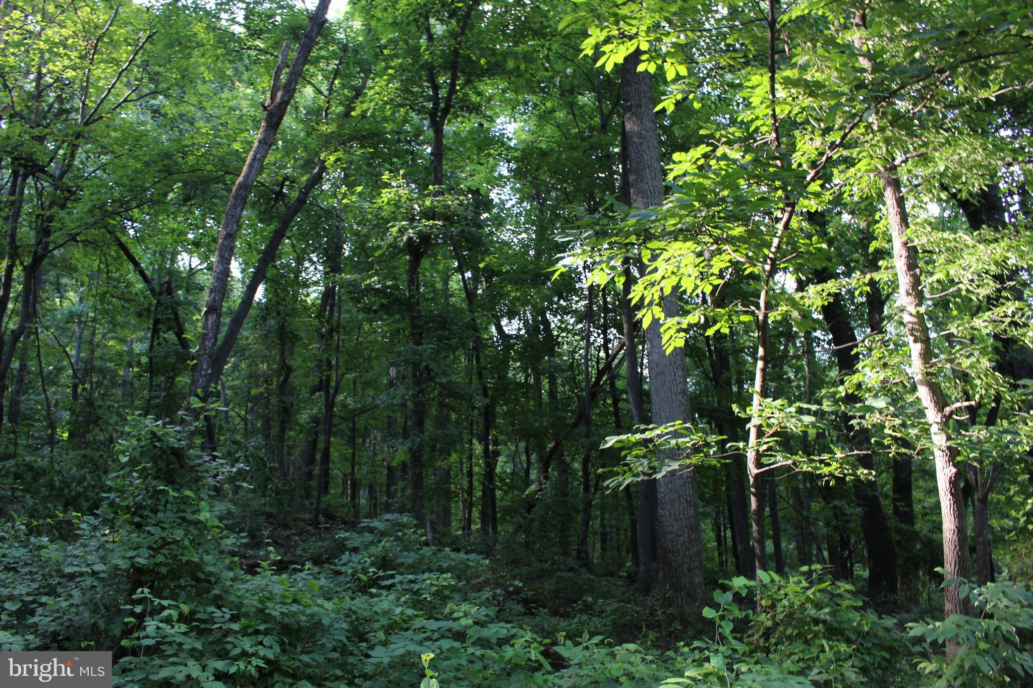 HAPPY VALLEY RETREAT - Land