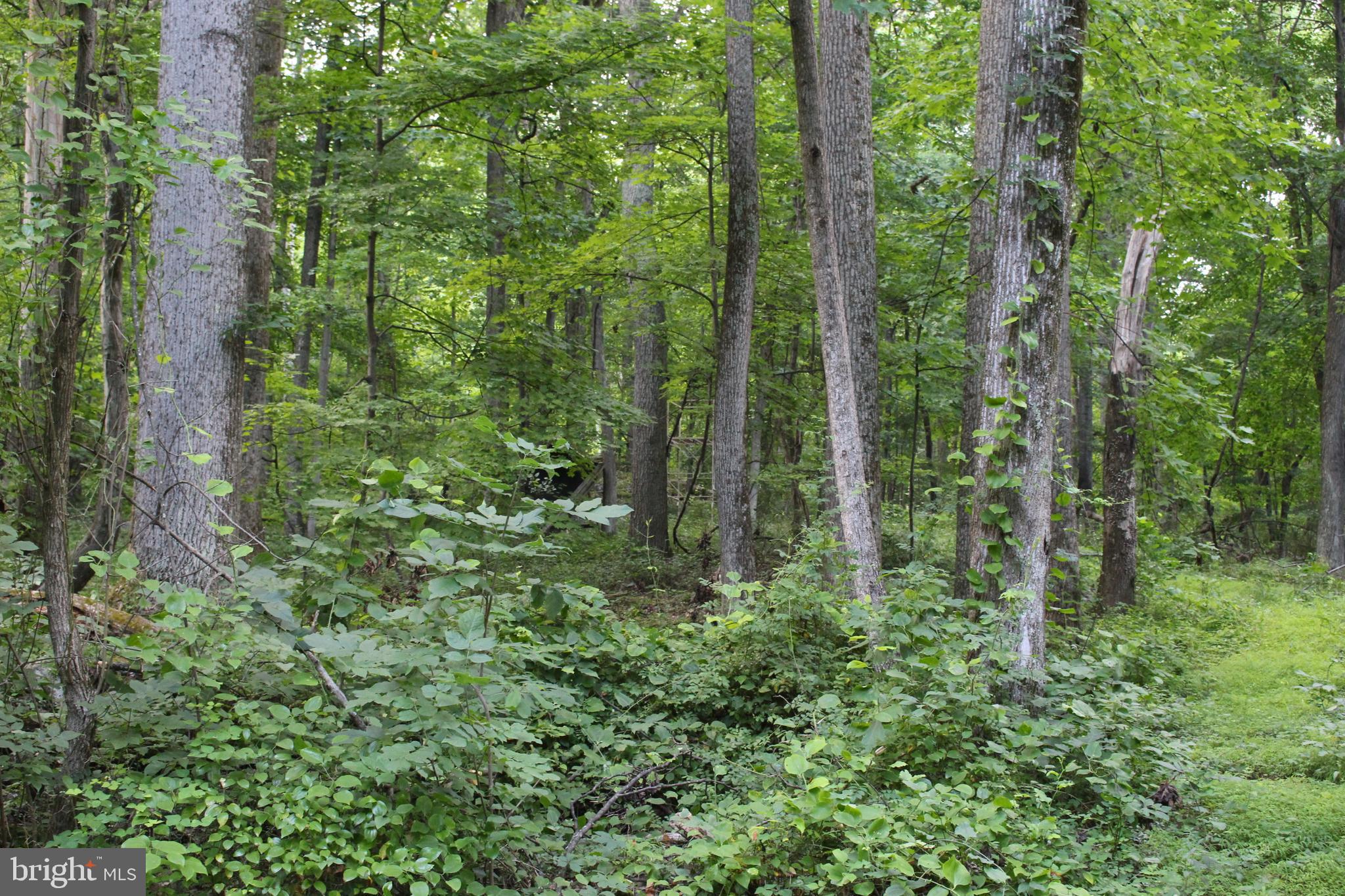 HAPPY VALLEY RETREAT - Land