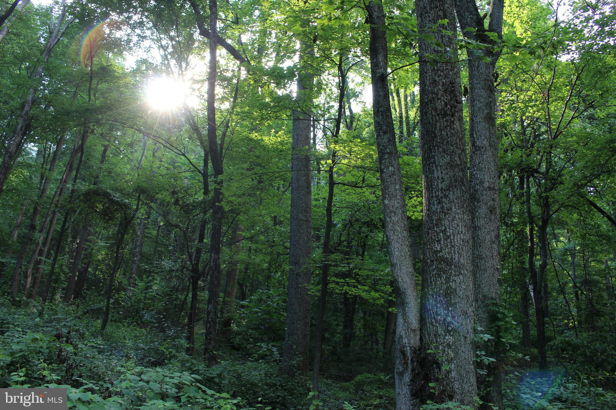 HAPPY VALLEY RETREAT - Land