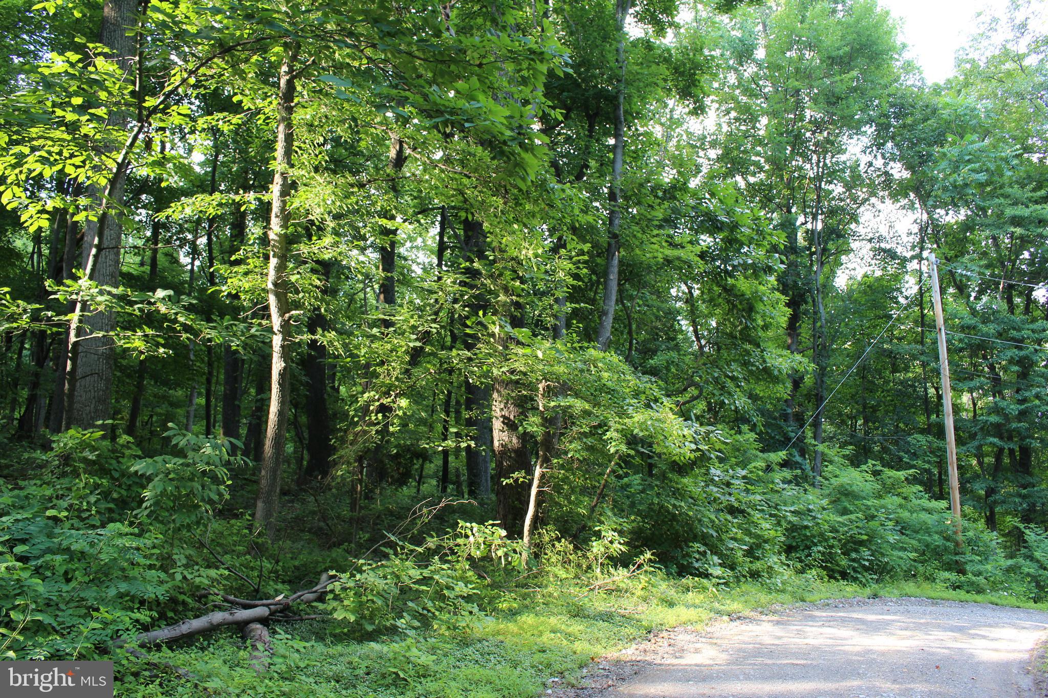 HAPPY VALLEY RETREAT - Land