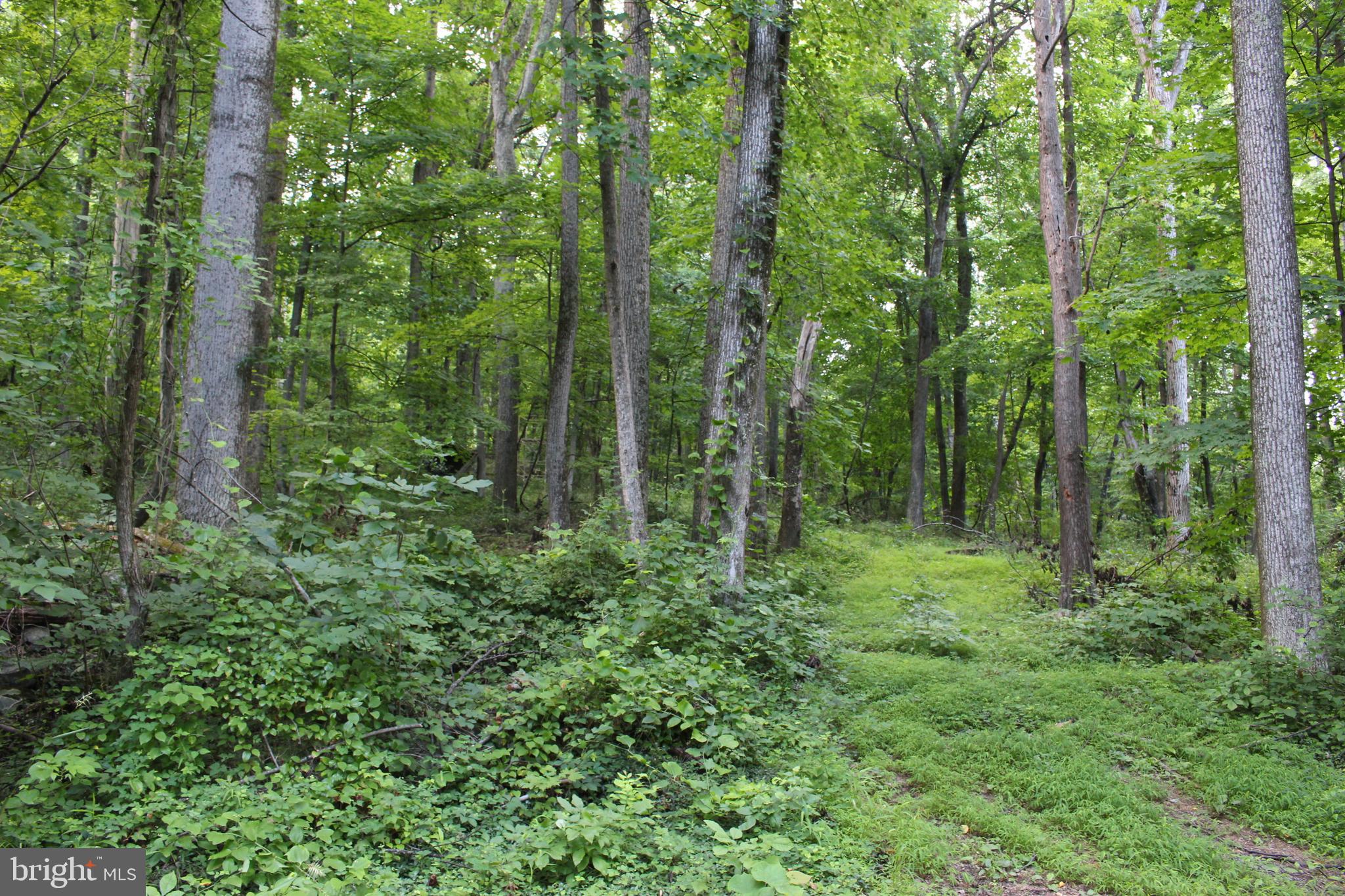 HAPPY VALLEY RETREAT - Land