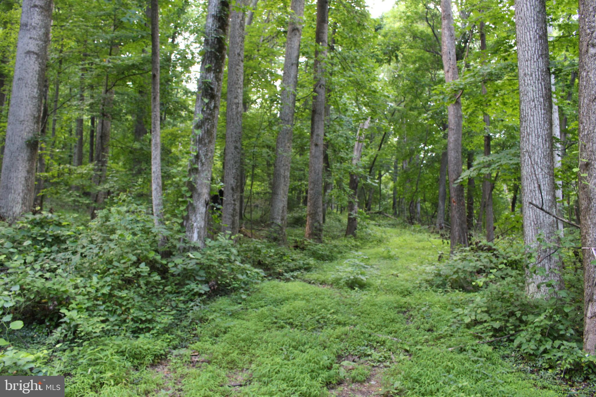 HAPPY VALLEY RETREAT - Land