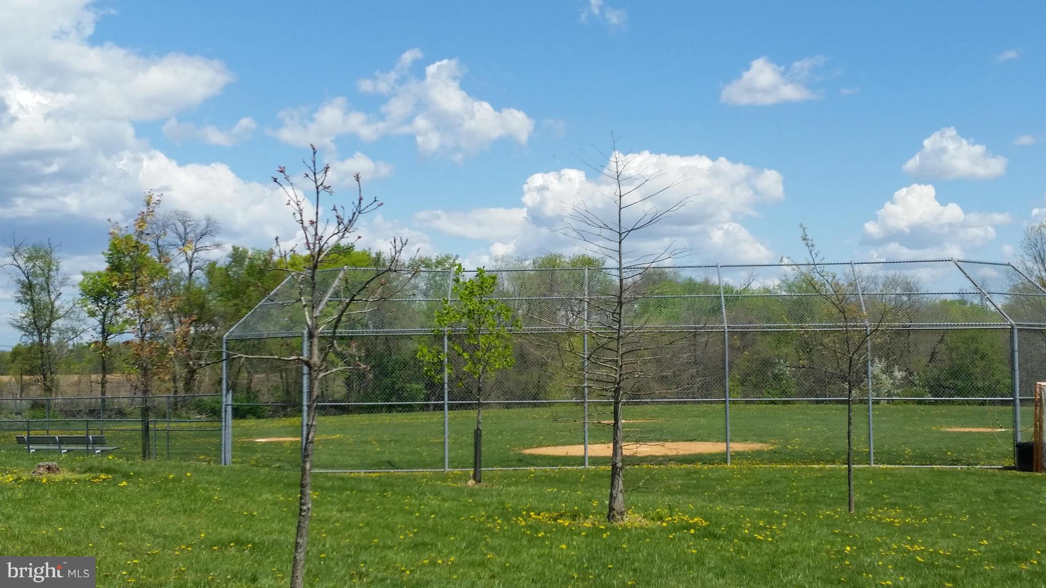 THE BRAEMAR - Residential