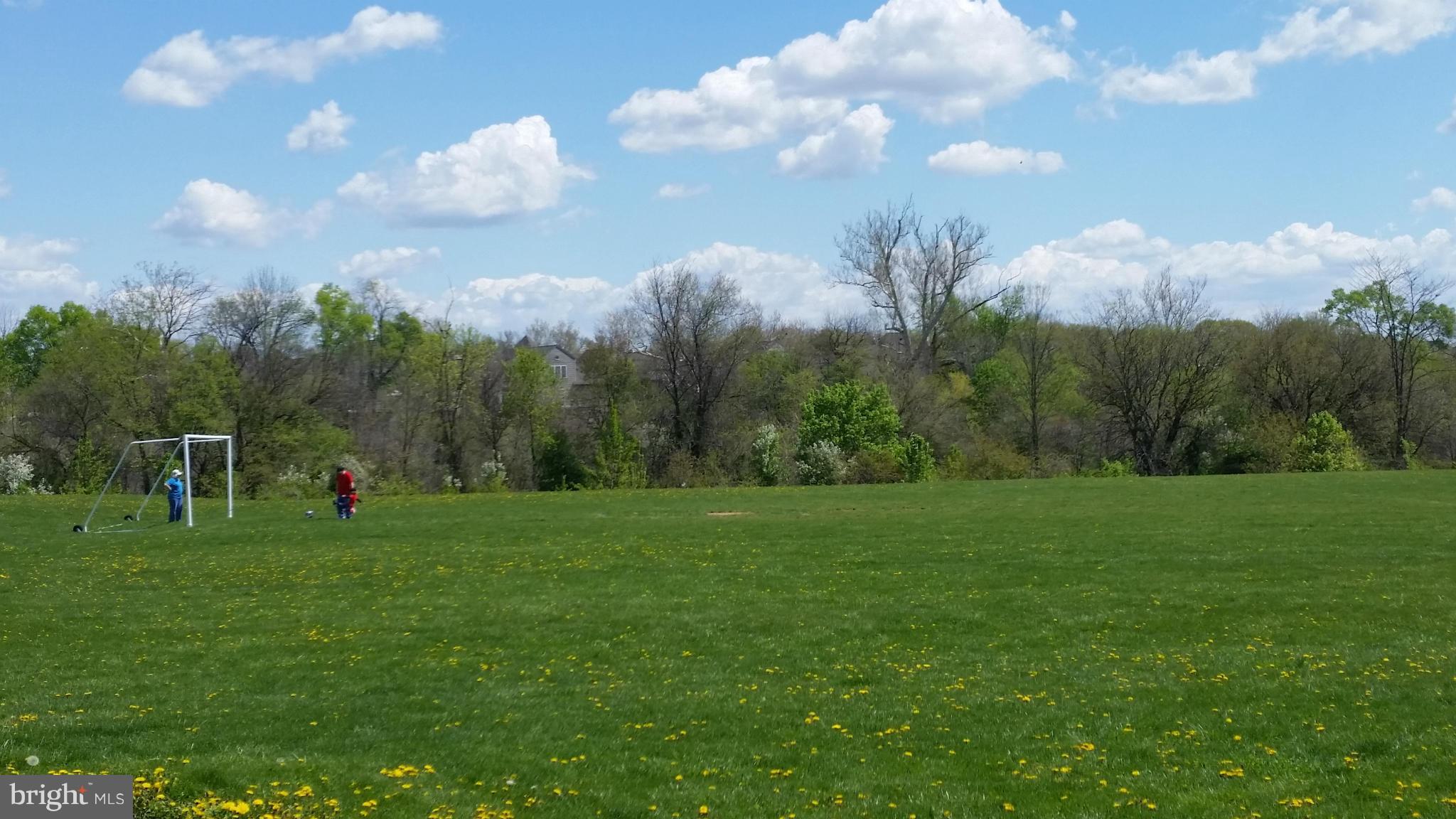 THE BRAEMAR - Residential