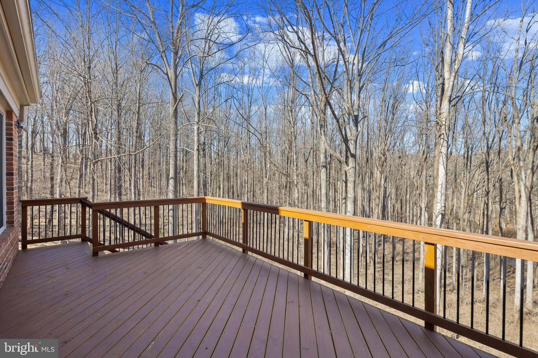 TRIADELPHIA WOODS - Residential