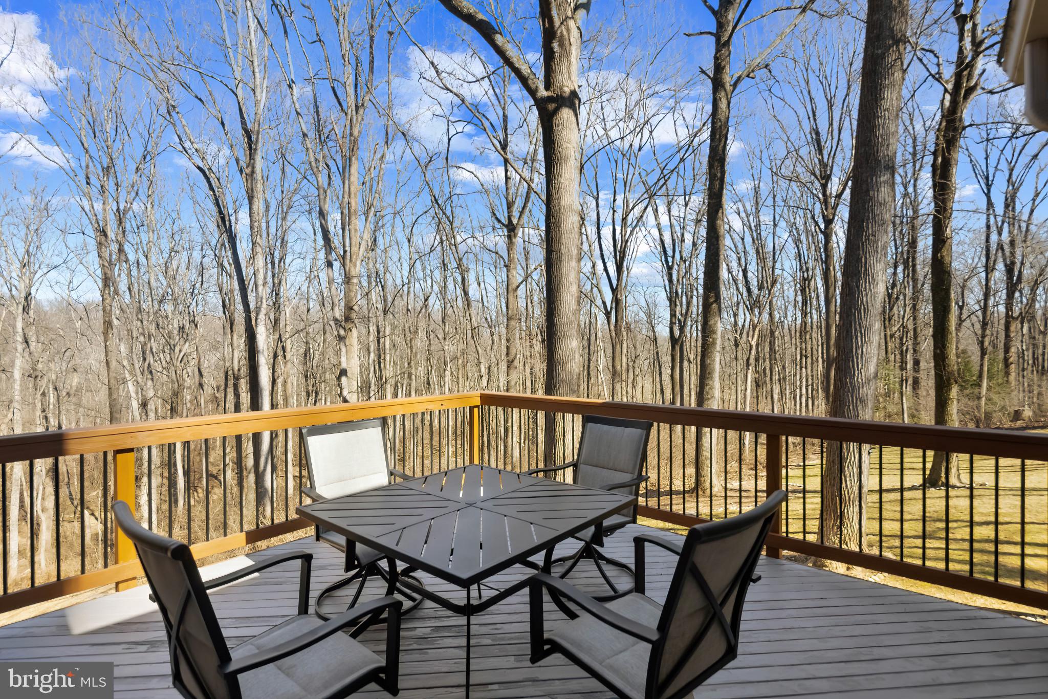 TRIADELPHIA WOODS - Residential