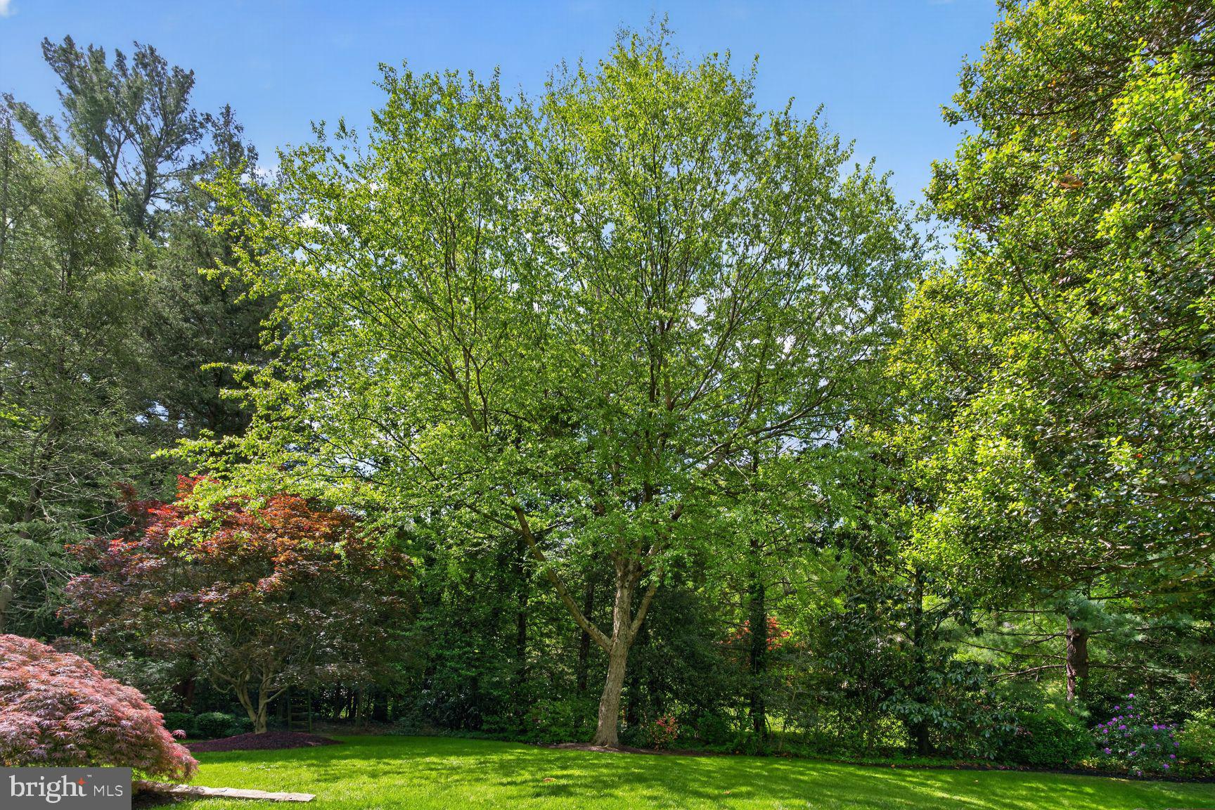 MALBROOK - Residential