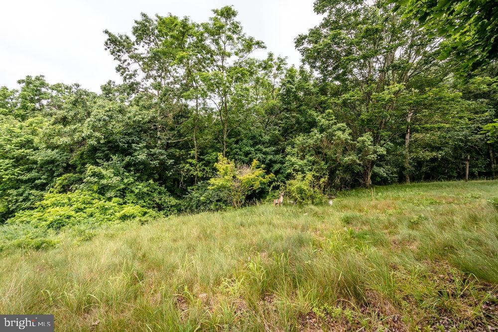 CHARLES EMSWILER SUBDIVISION - Land