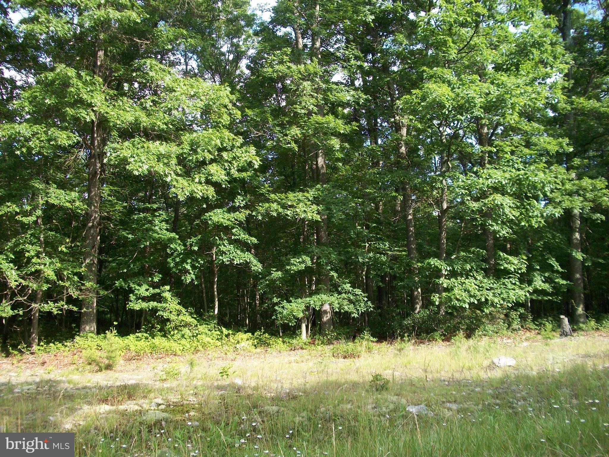 NONE AVAILABLE - Land