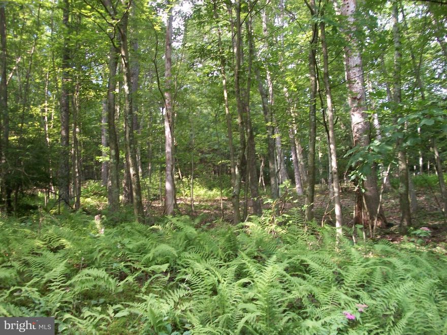 Don't miss your opportunity to own a large parcel of land conveniently located between Cumberland and Rocky Gap Resort.This land fronts on two roads and has substantial road frontage.