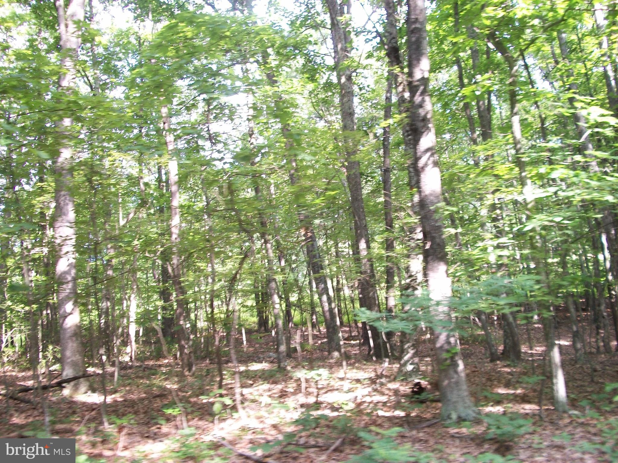 NONE AVAILABLE - Land