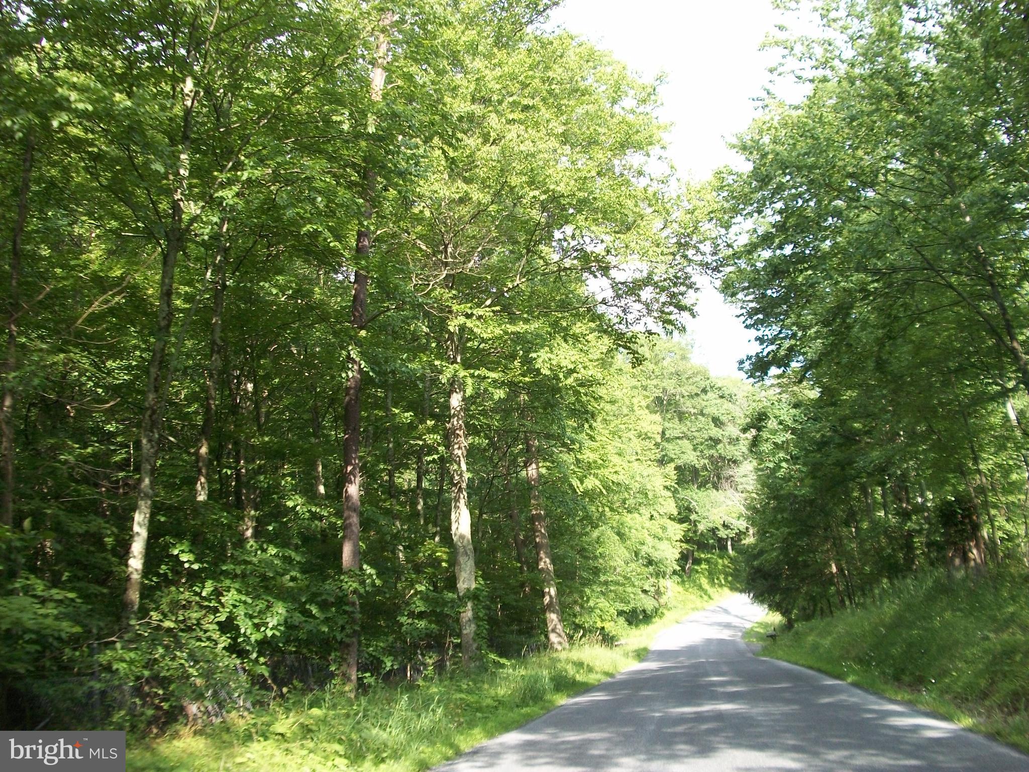 NONE AVAILABLE - Land