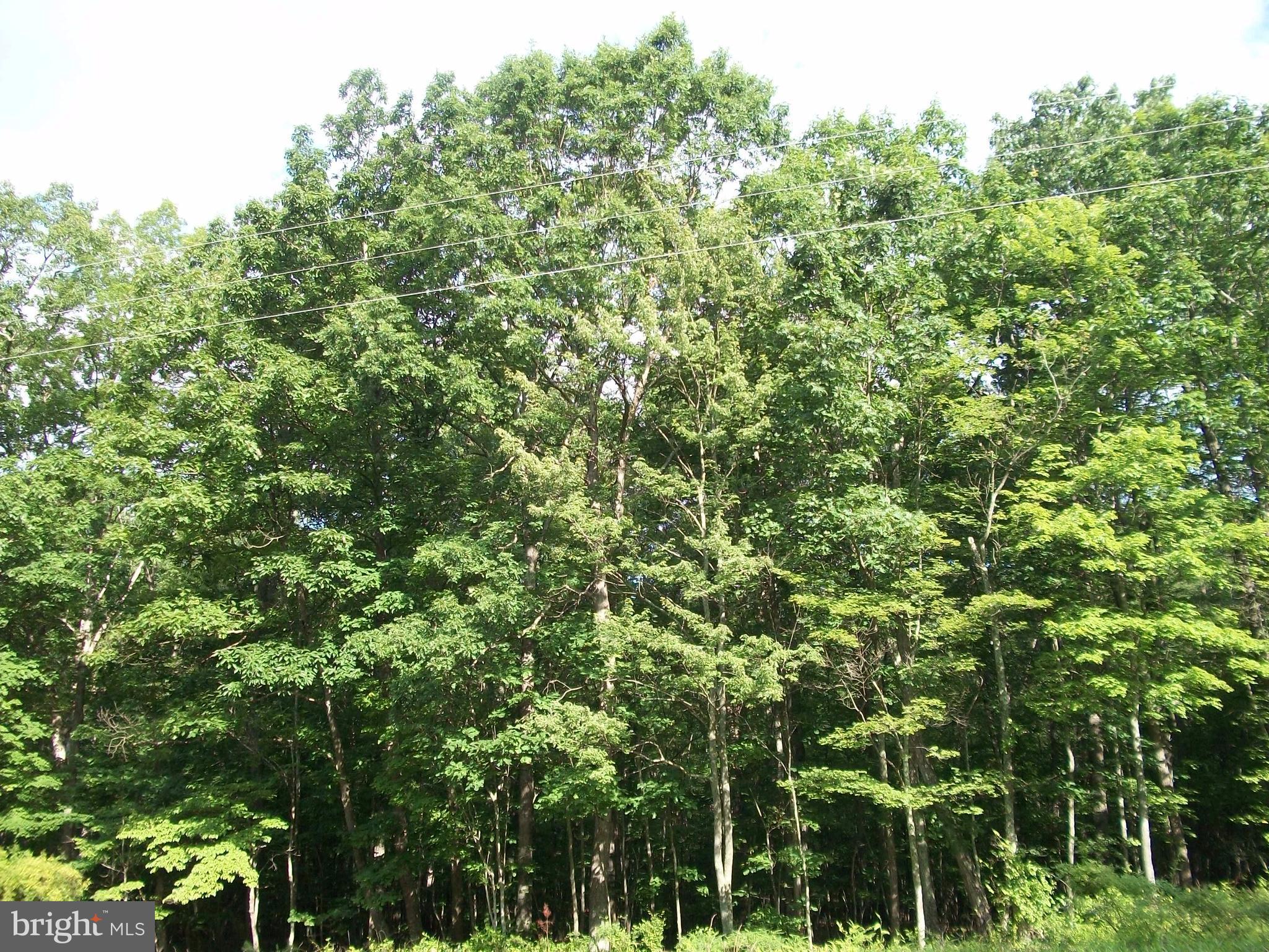 NONE AVAILABLE - Land