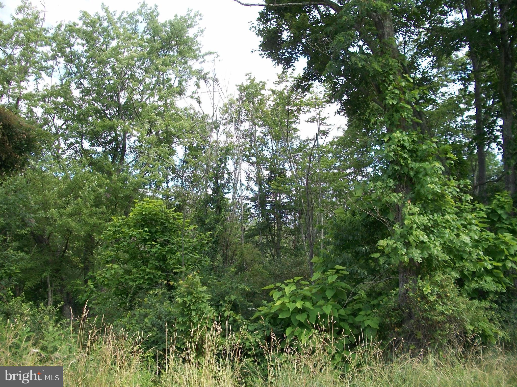 NONE AVAILABLE - Land