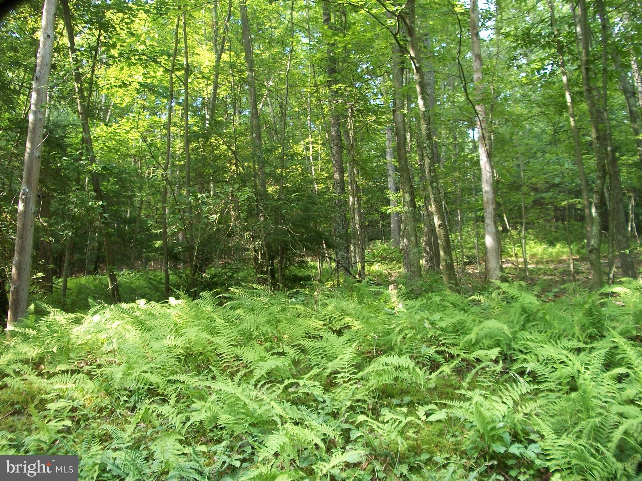 NONE AVAILABLE - Land