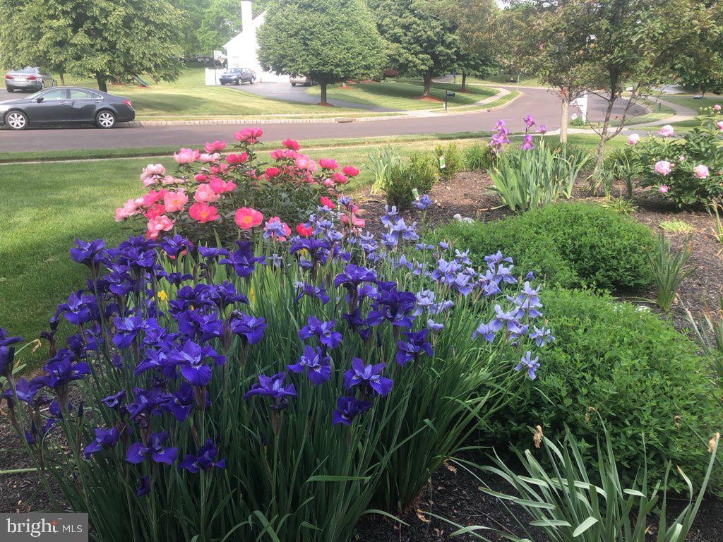 AFTON CHASE - Residential