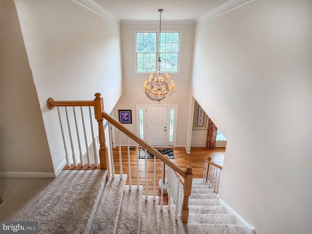 AFTON CHASE - Residential