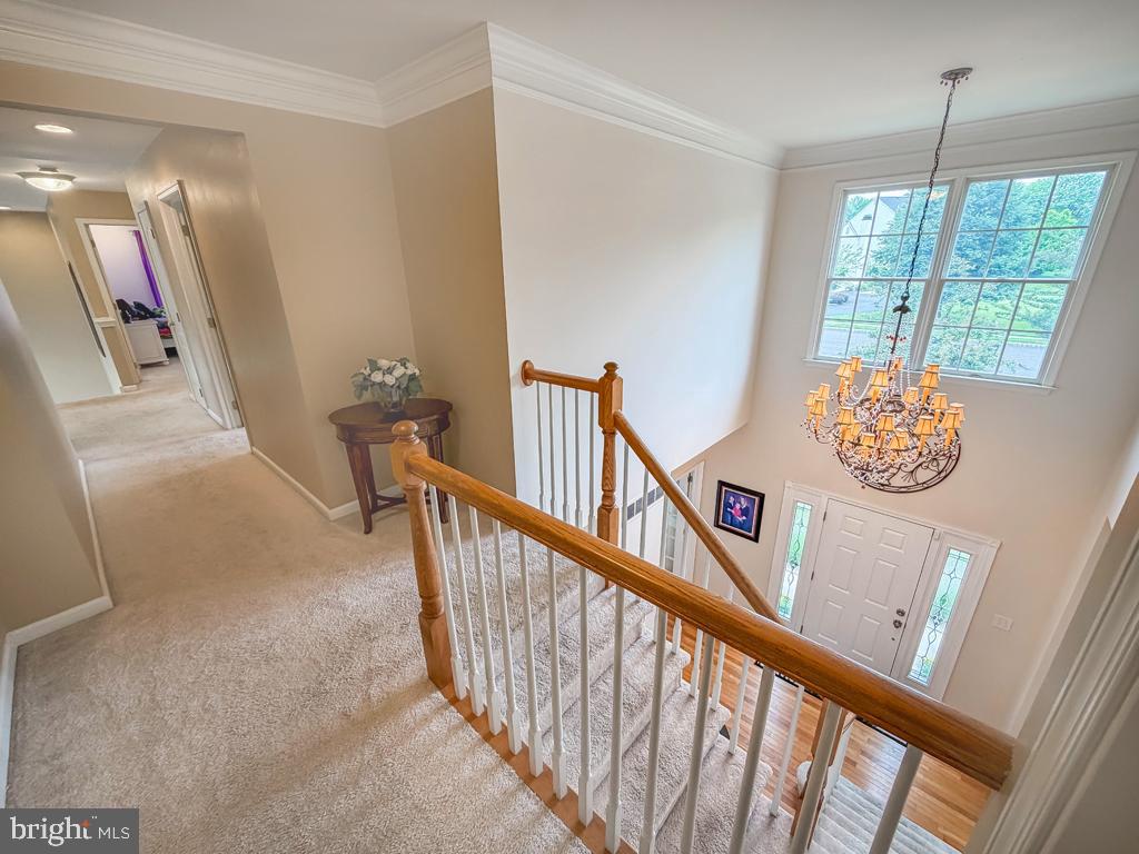 AFTON CHASE - Residential