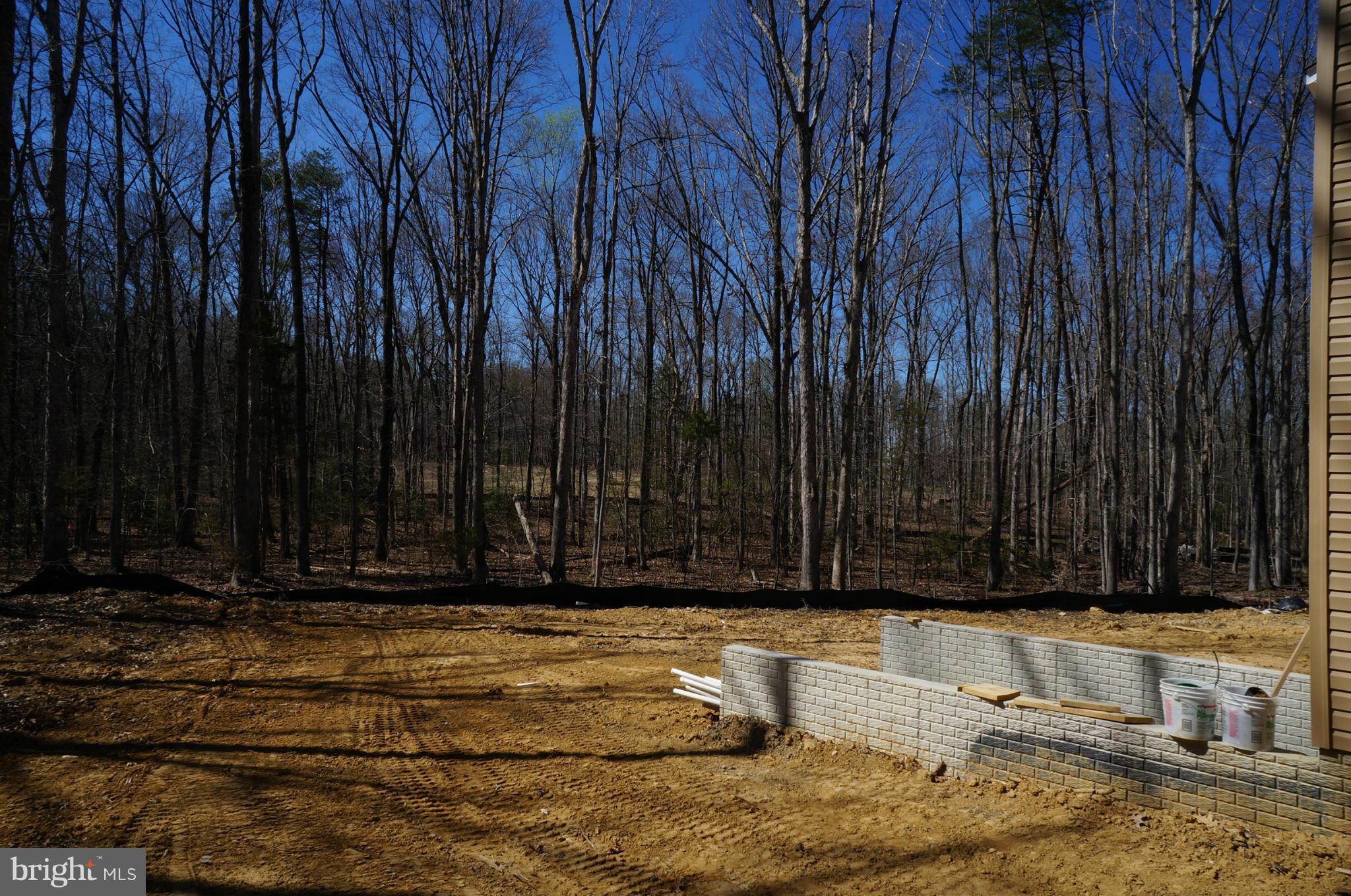 MASTERBUILDERS AT TACKETTS MILL - Residential