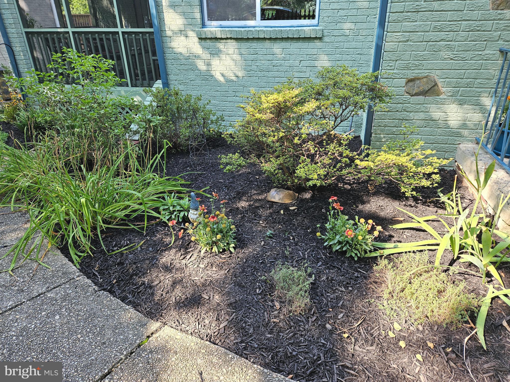 TAKOMA PARK - Residential