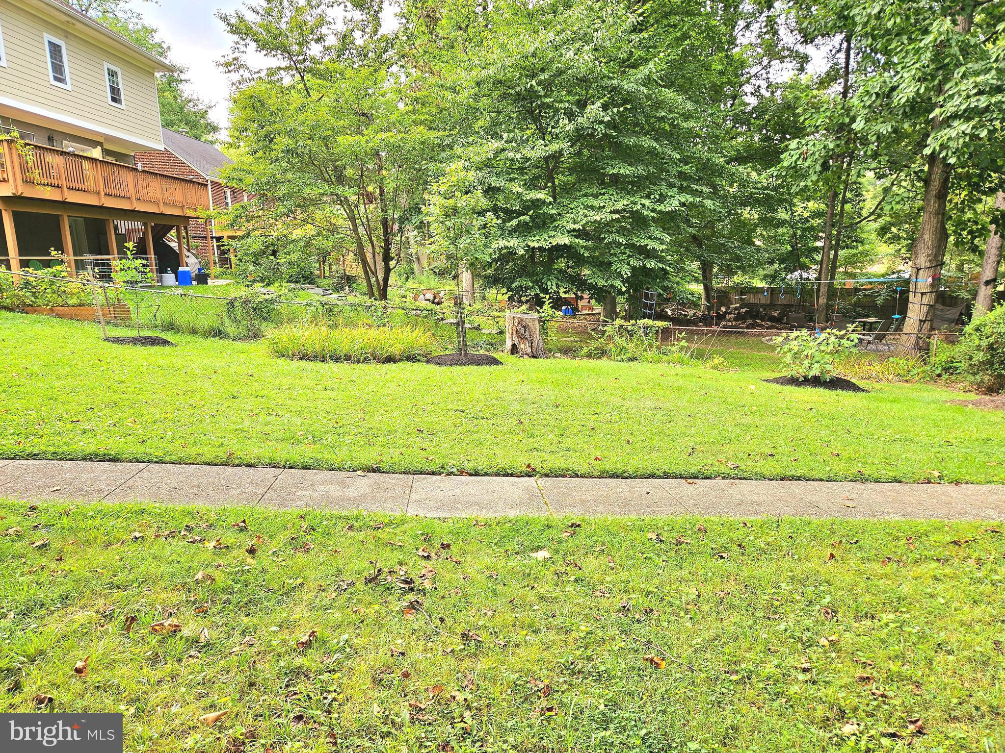 TAKOMA PARK - Residential