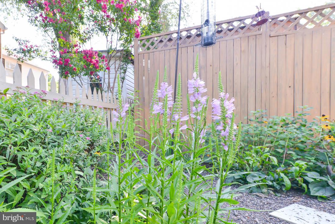 ALBERT V BRYAN - Residential