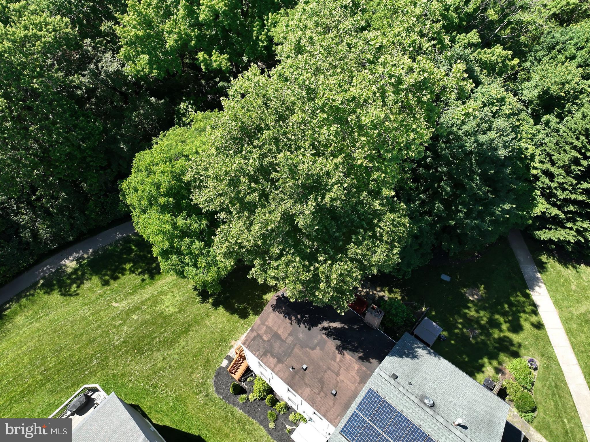 KING CHARLES COMMONS - Residential