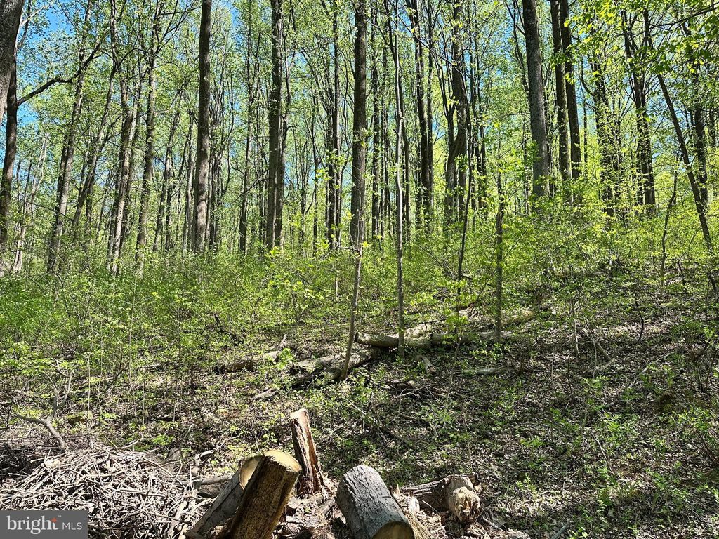 Photo of Wambach Court, FRONT ROYAL, VA 22630 (MLS # VAWR2012636)