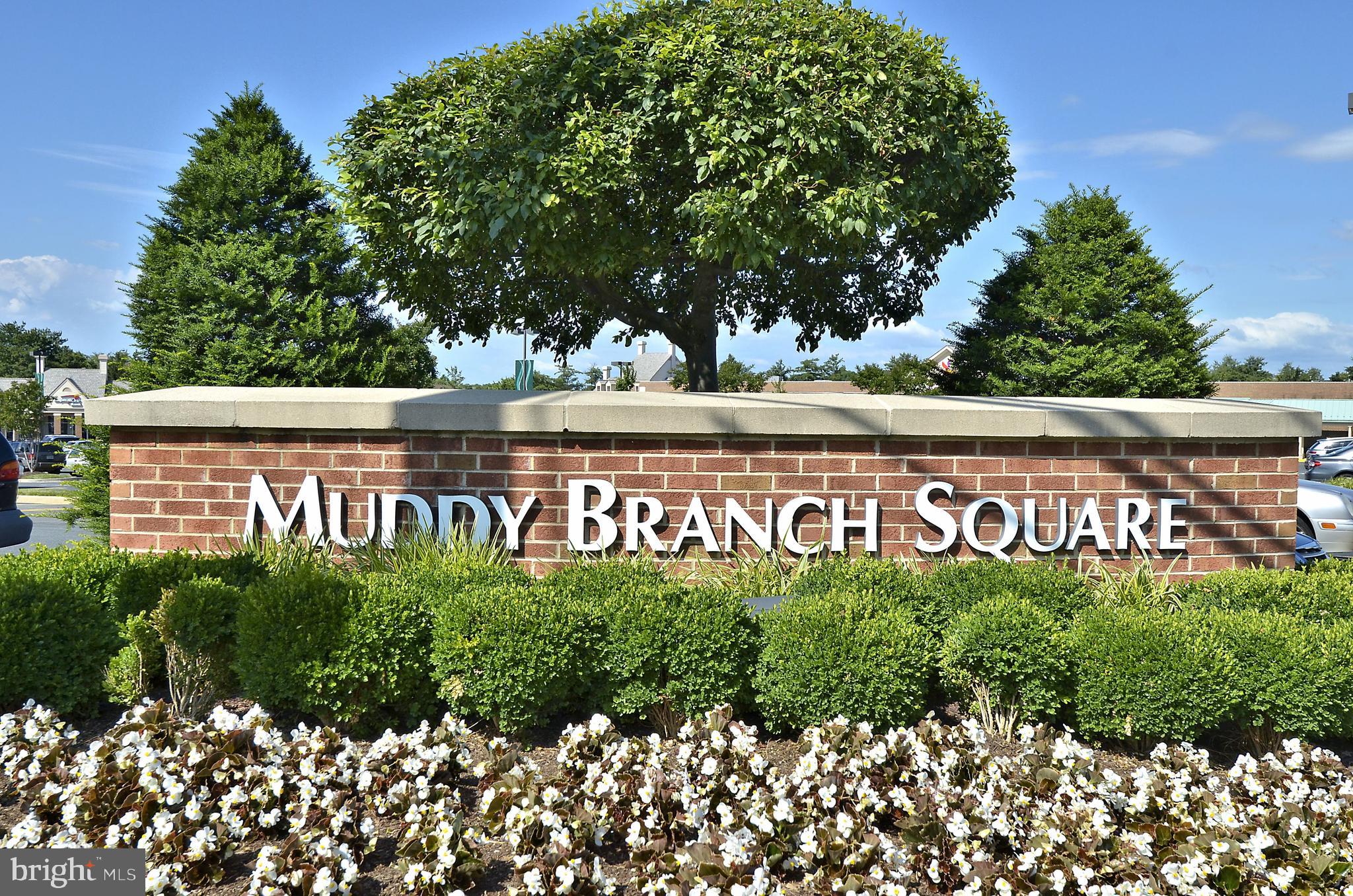 AMBERFIELD - Residential