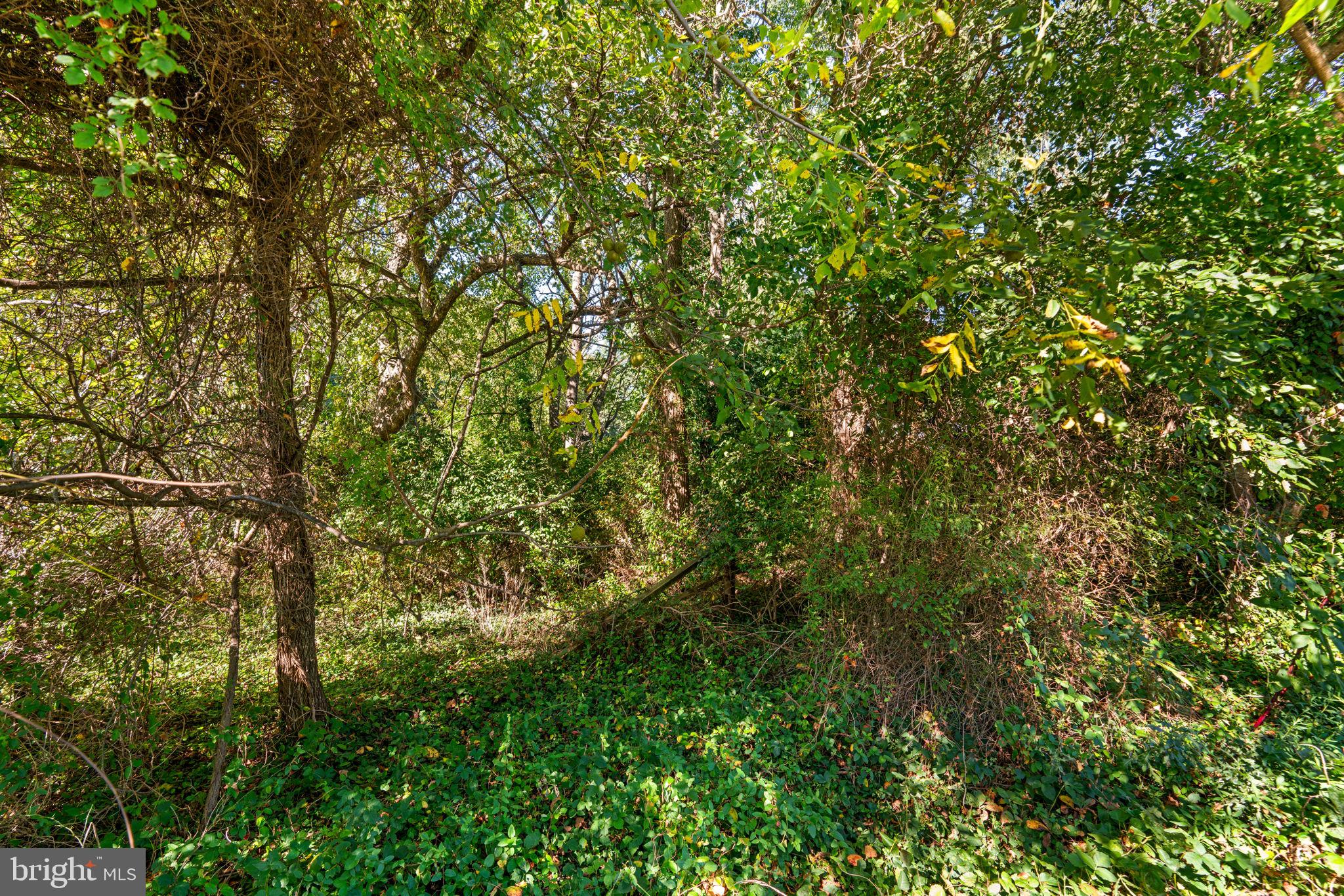 14208 LEWISDALE ROAD