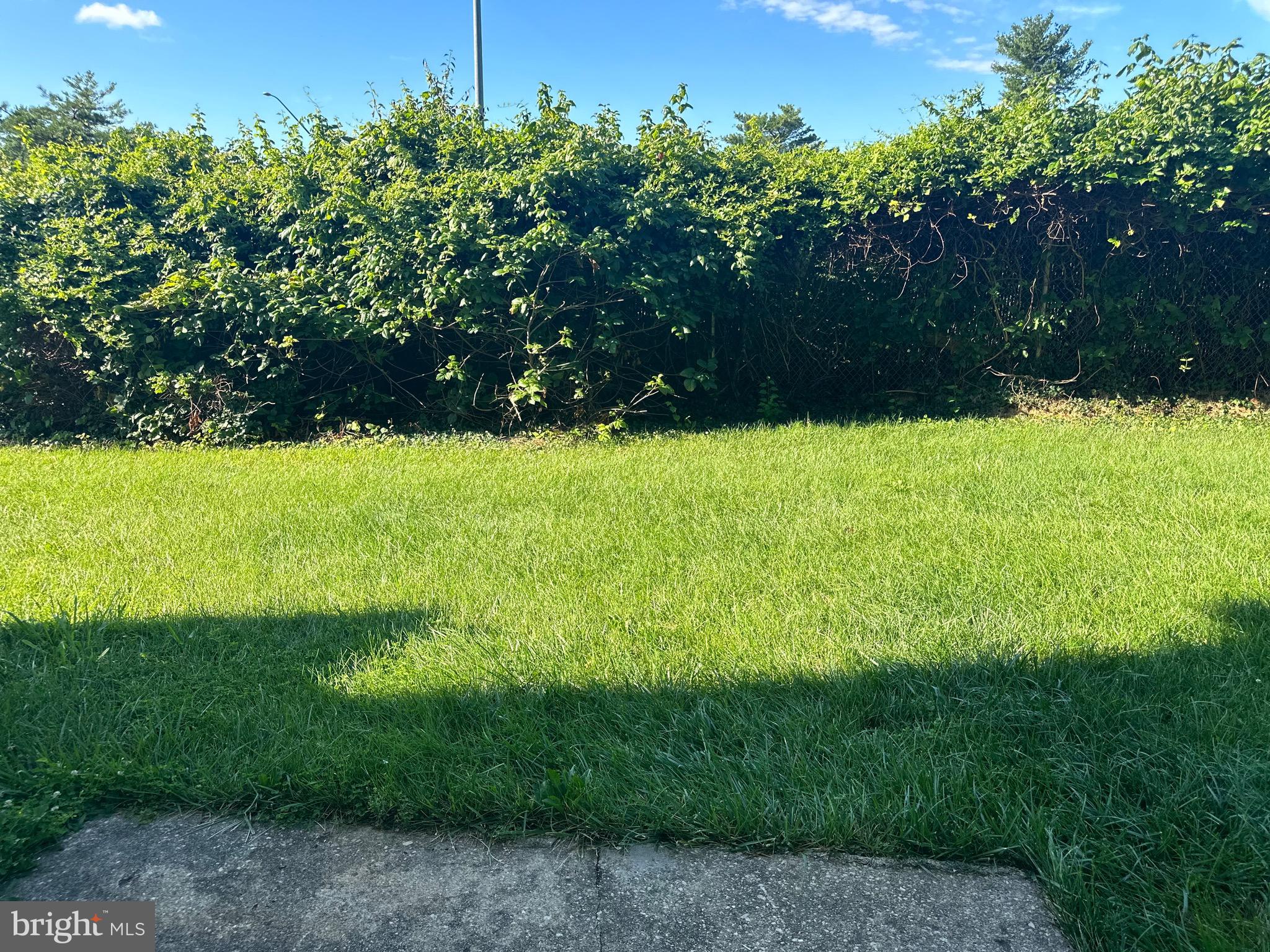 FOREST SPRING CONDO-PHAS - Residential Lease