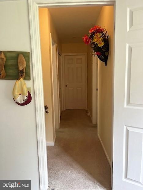 HONEYWOOD - Residential