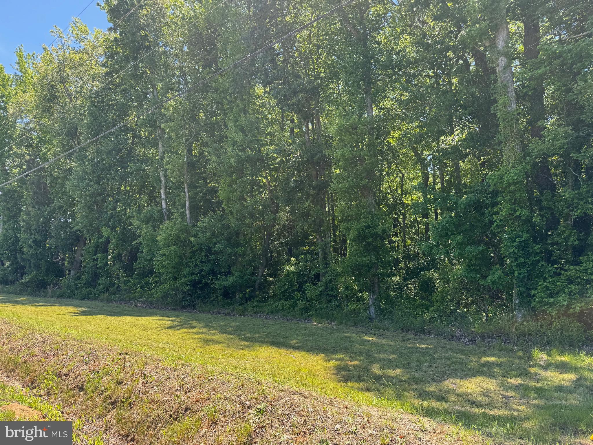 Level, mostly wooded private corner lot of 1.67 AC. Sewer pot installed PLUS connection fee paid!
This site is just minutes to Reedville for town amenities, the Sunnybank Ferry, Smith Point Marina and Shell Landing deep water public boat launch.
Five total lots are for sale ranging from 1-1.6AC in size, with varying degrees of wooded/cleared space. All offer space for Home and outbuilding. Manufactured homes are permitted (minor deed restrictions apply).