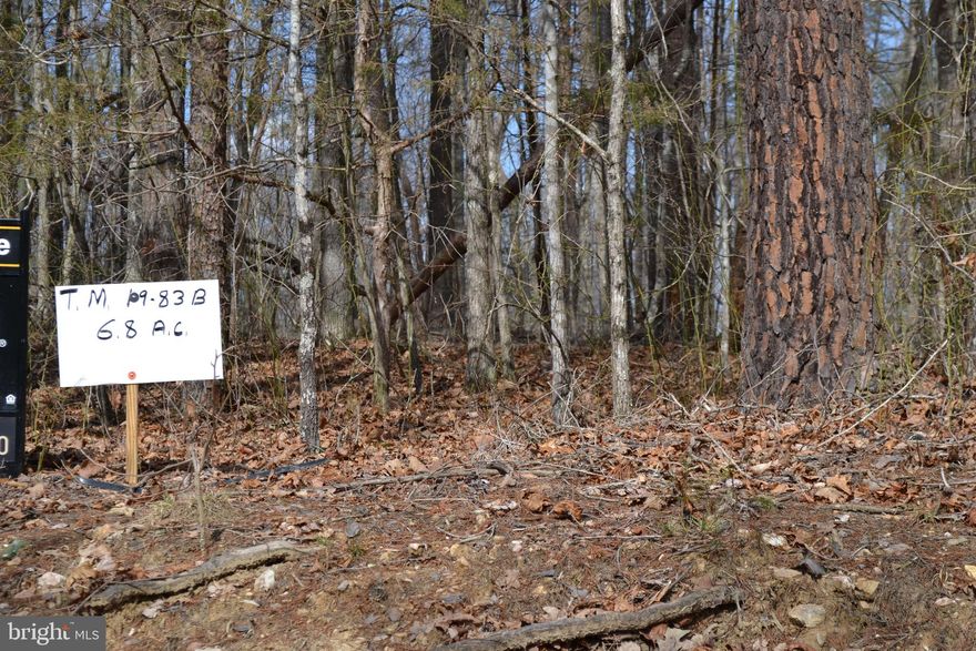 6.8 AC wooded building lot with 4BR conventional septic design on file. Located about 8 miles to Town.
