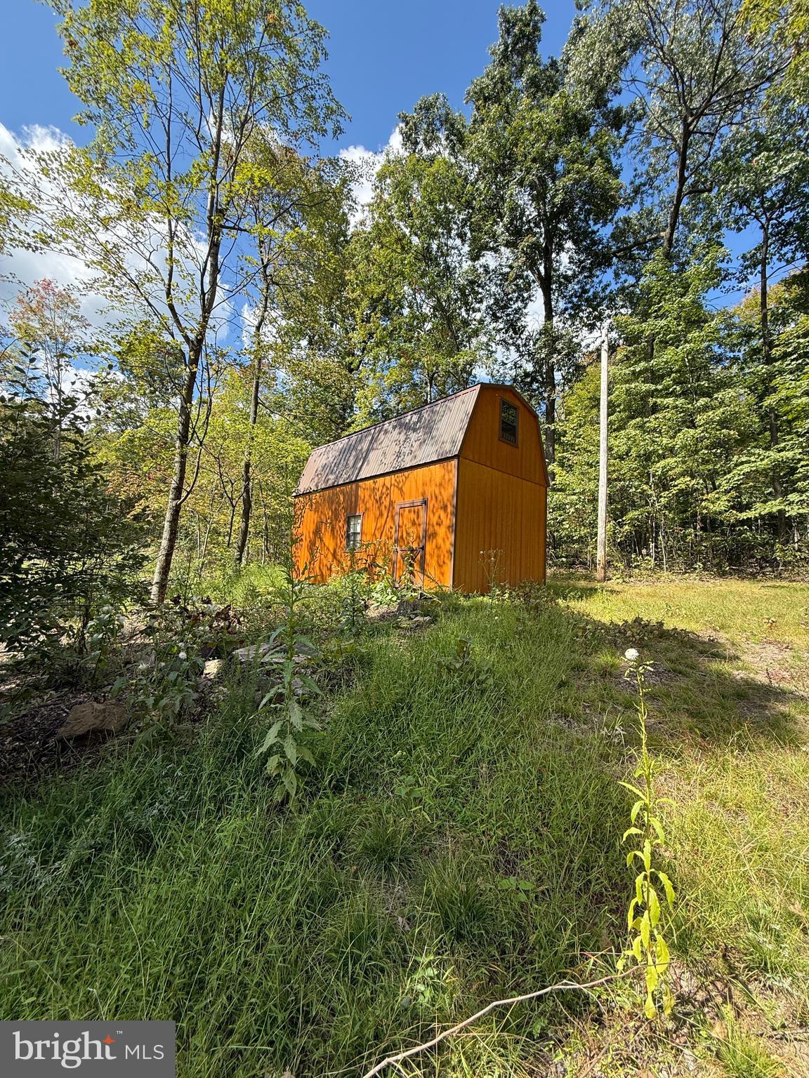 Build your dream permanent residence or vacation retreat. Located on 10 wooded acres near Bald Eagle State Forest land and just 45 minutes to Penn State University. Nearby you'll find the scenic Bald Eagle State Forest, Reeds Gap State Park, & Poe Valley State Park, known for hiking and nature. The Woodward Cave, Penn's Cave & Wildlife Park and Thousand Steps Trail offer boat tours, unique geologic attractions and scenic mountain views. Also closeby are river rafting & tubing on the Juniata River.