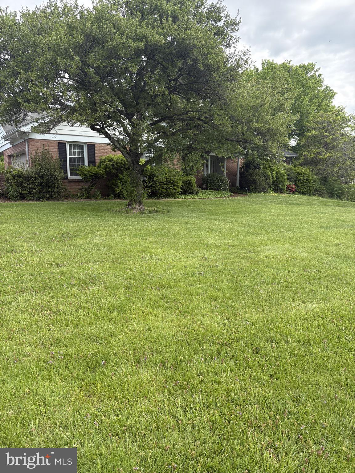 31 BAYNARD BOULEVARD