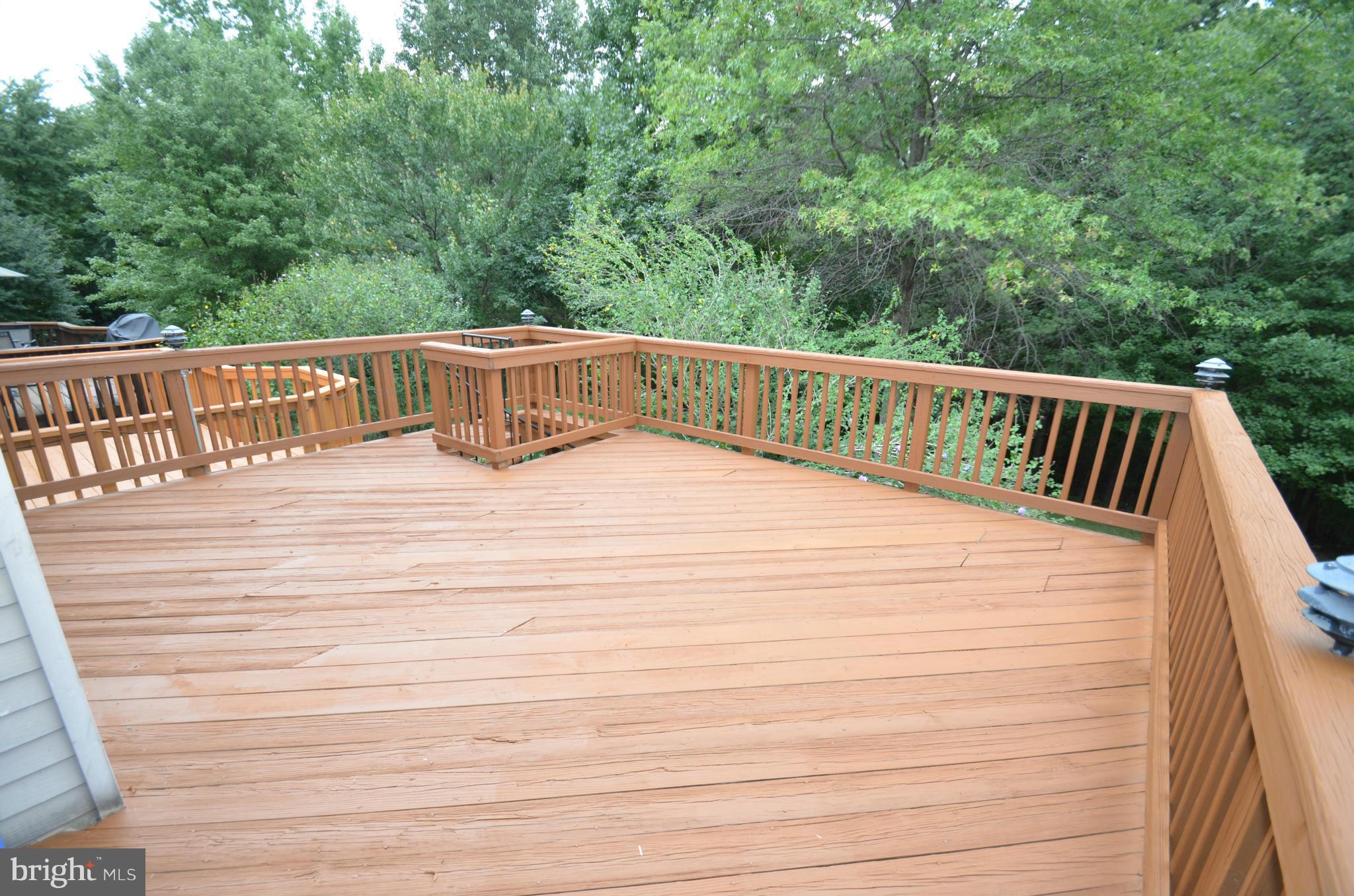 KINGSTOWNE - Residential Lease