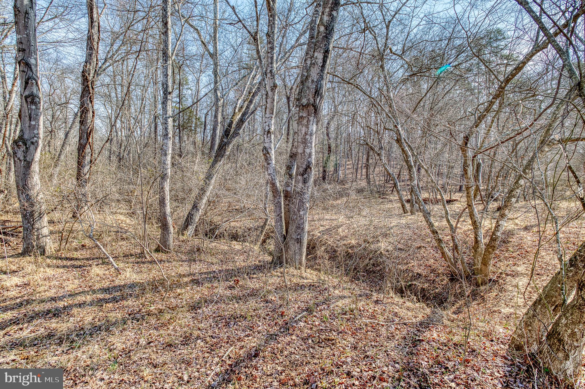 NONE AVAILABLE - Land