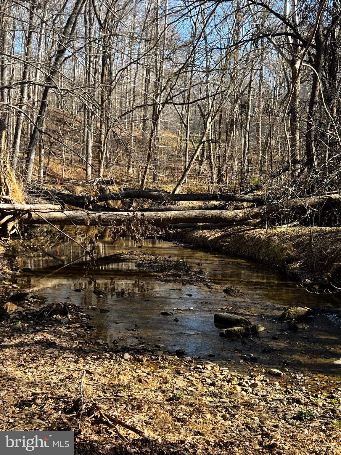 CAMELOT-BROOK HAVEN - Residential