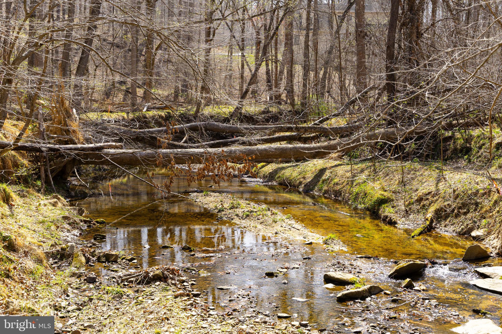 CAMELOT-BROOK HAVEN - Residential
